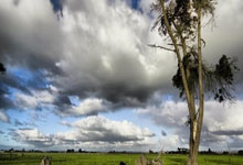 [天下足球]传奇继续 拜仁续约两大门将.