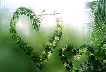 欧博：新成立的中足联是干啥的？负责人就管办分离改革答记者问央视新闻客户端.