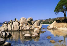 欧博：法媒：基米希拒绝阿森纳2500万欧&巴黎4000万欧年薪，选择留拜仁.